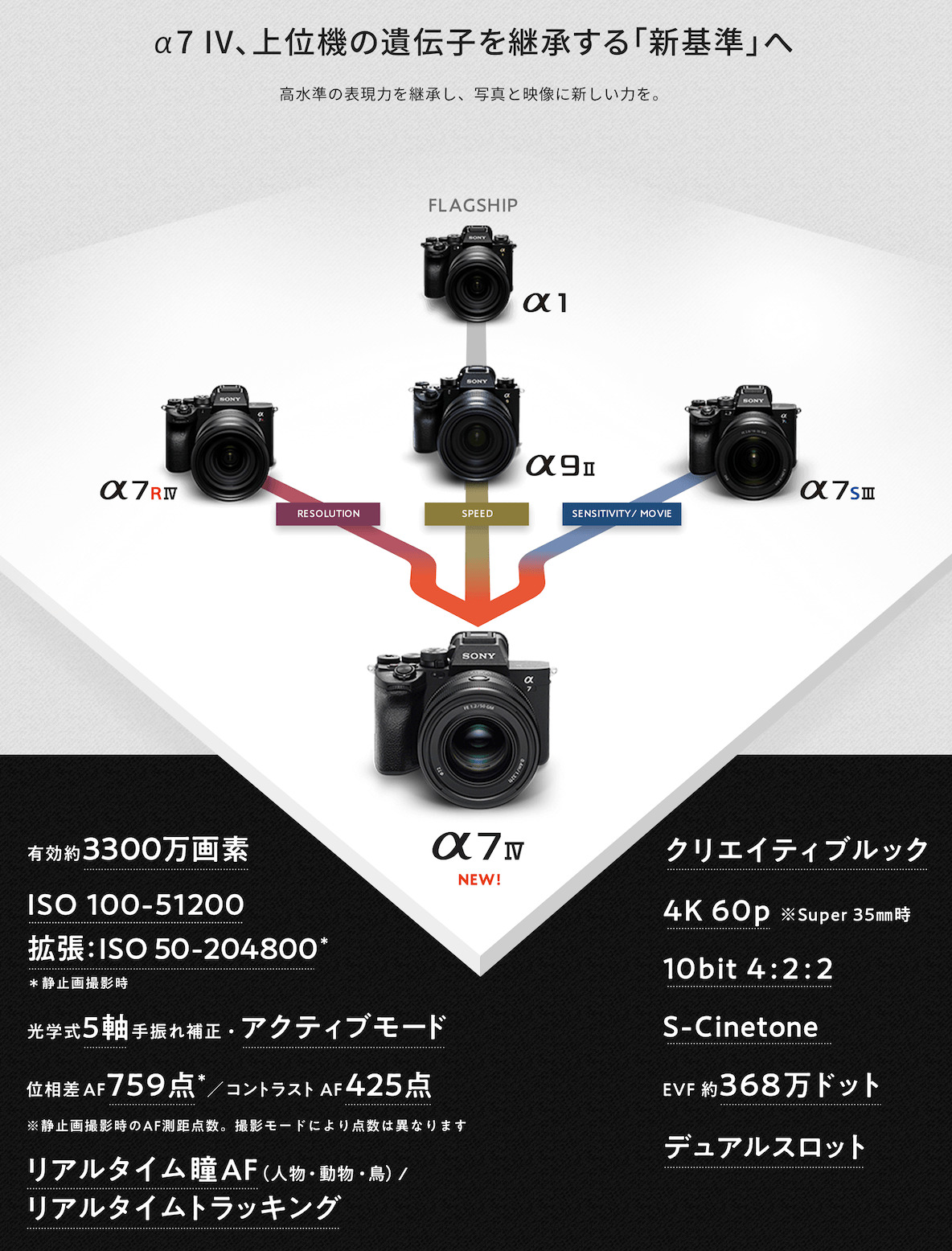 SONY α77 2430万画素 デジカメはいかが？ 8月は大幅値下げ  